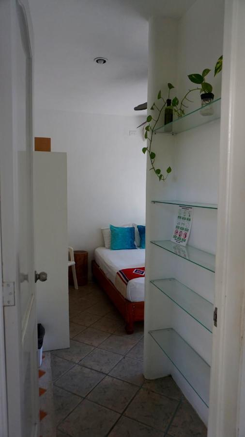 Selva Y Mar Apart Hotel 신데 델 카르멘 외부 사진