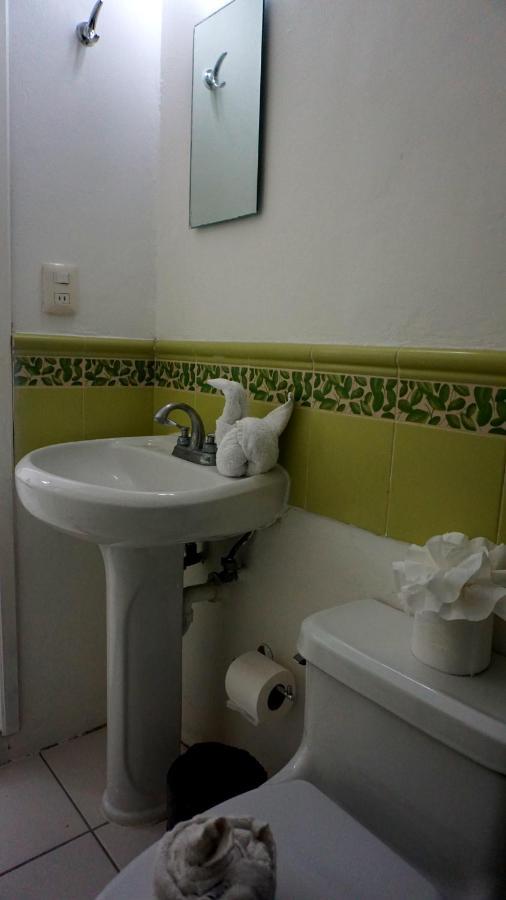 Selva Y Mar Apart Hotel 신데 델 카르멘 외부 사진