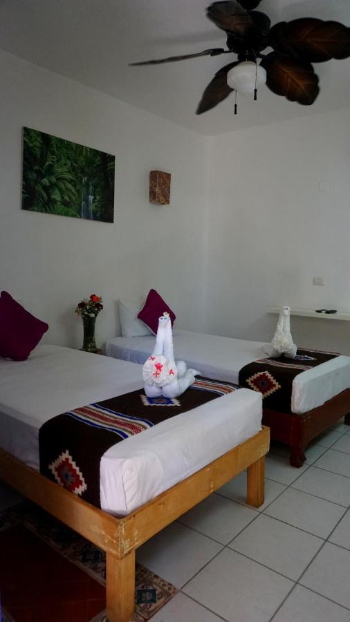 Selva Y Mar Apart Hotel 신데 델 카르멘 외부 사진
