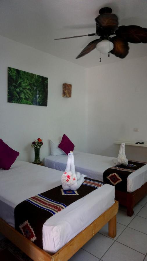 Selva Y Mar Apart Hotel 신데 델 카르멘 외부 사진