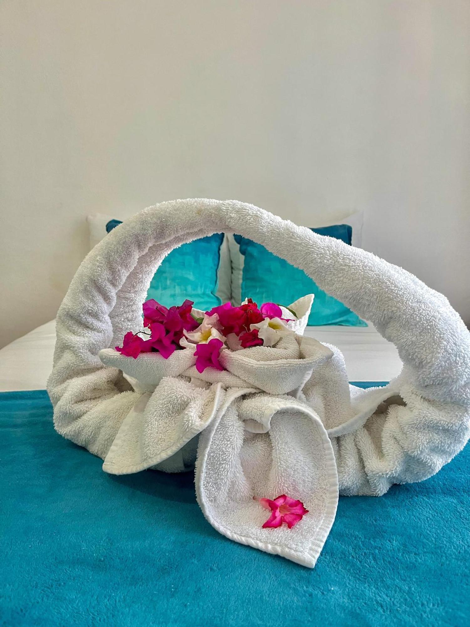 Selva Y Mar Apart Hotel 신데 델 카르멘 외부 사진